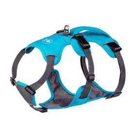 Pet Harness Dog Hand Holding Rope (Option: Blue-M)